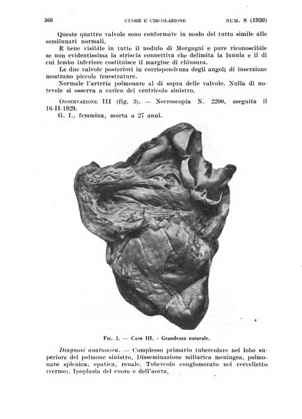 Cuore e circolazione periodico mensile illustrato