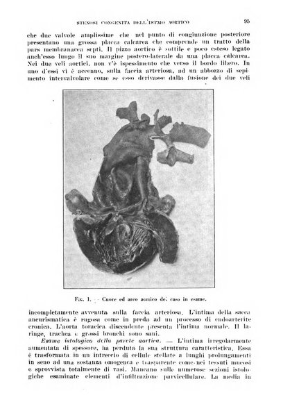 Cuore e circolazione periodico mensile illustrato