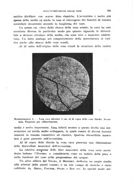 Cuore e circolazione periodico mensile illustrato