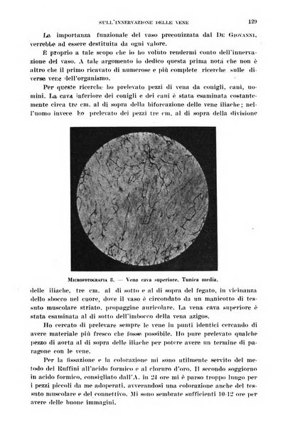 Cuore e circolazione periodico mensile illustrato