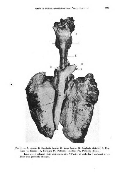 Cuore e circolazione periodico mensile illustrato