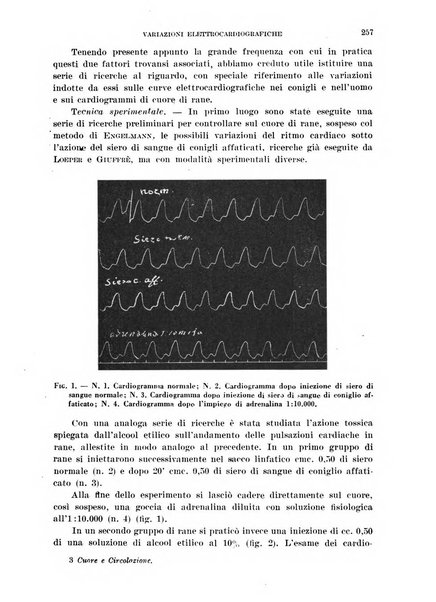 Cuore e circolazione periodico mensile illustrato