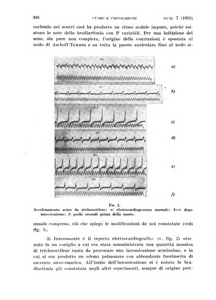 Cuore e circolazione periodico mensile illustrato