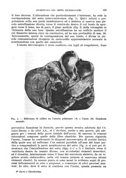 Cuore e circolazione periodico mensile illustrato