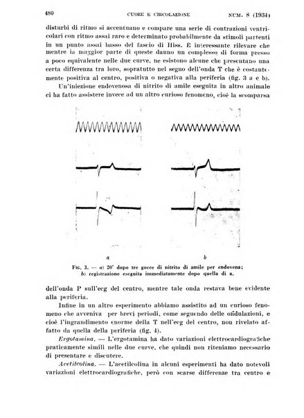 Cuore e circolazione periodico mensile illustrato