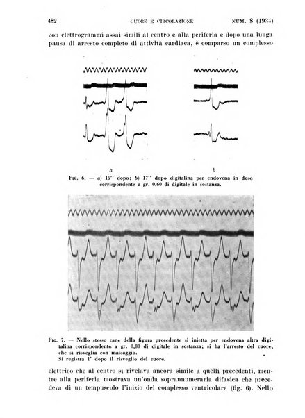 Cuore e circolazione periodico mensile illustrato