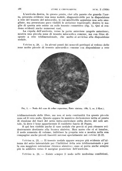 Cuore e circolazione periodico mensile illustrato