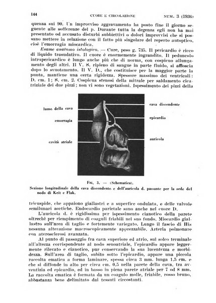 Cuore e circolazione periodico mensile illustrato