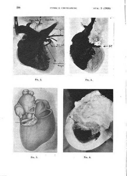 Cuore e circolazione periodico mensile illustrato