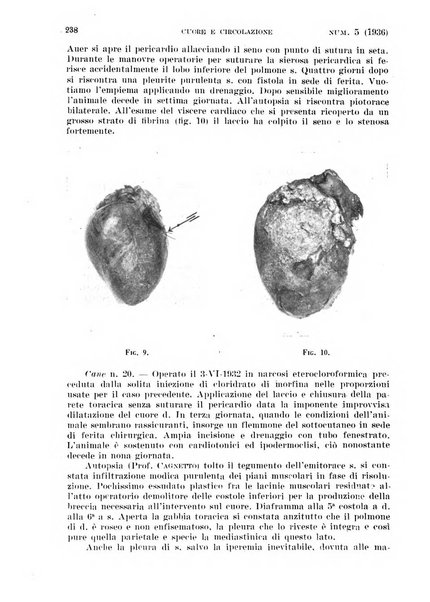 Cuore e circolazione periodico mensile illustrato