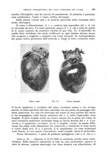 Cuore e circolazione periodico mensile illustrato