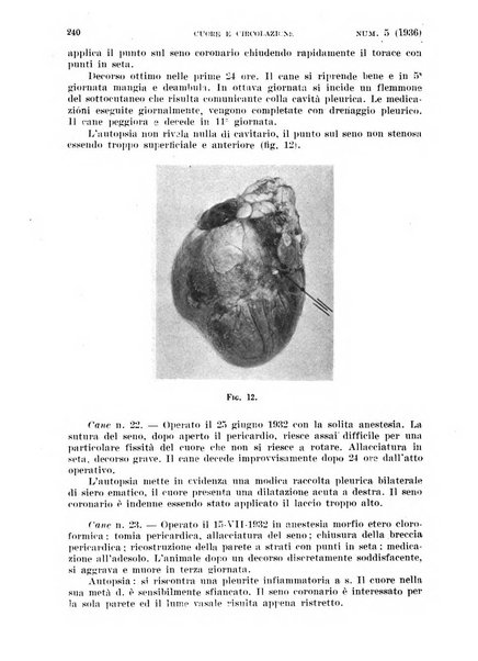 Cuore e circolazione periodico mensile illustrato