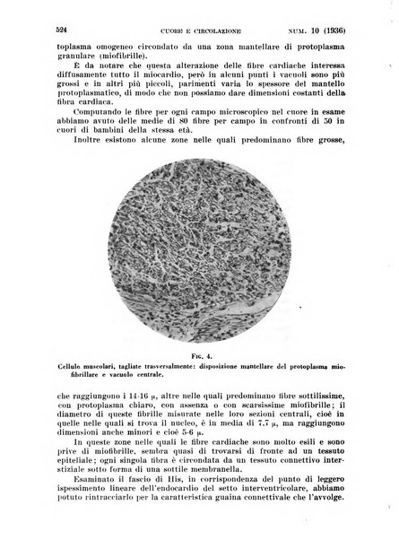 Cuore e circolazione periodico mensile illustrato