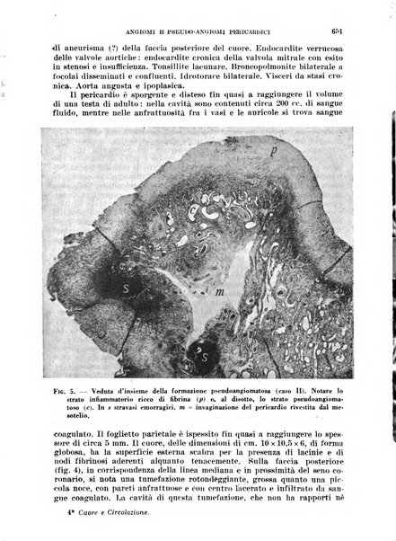 Cuore e circolazione periodico mensile illustrato