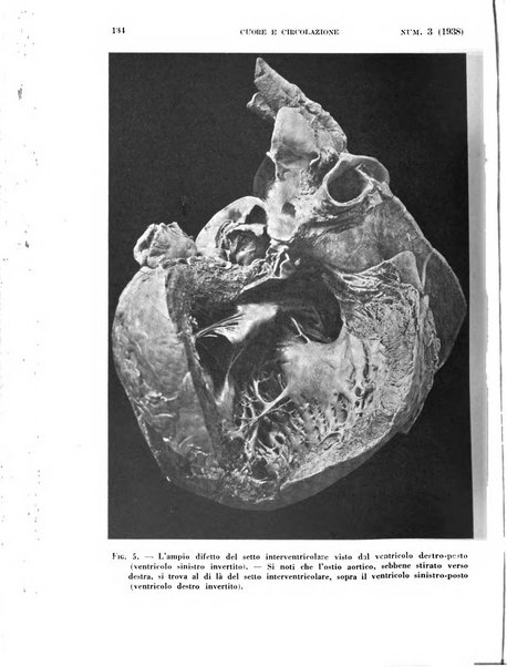 Cuore e circolazione periodico mensile illustrato