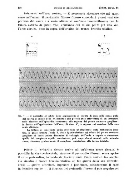 Cuore e circolazione periodico mensile illustrato