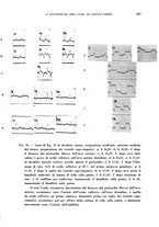 giornale/TO00182537/1939/unico/00000503