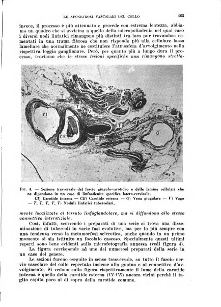 Cuore e circolazione periodico mensile illustrato