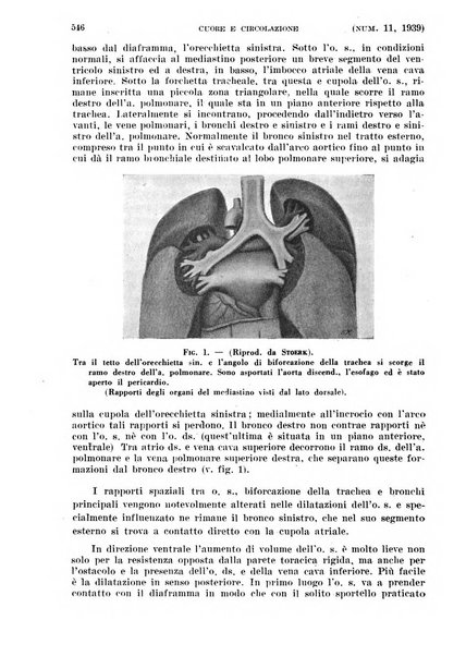 Cuore e circolazione periodico mensile illustrato