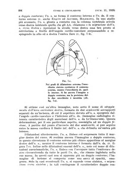 Cuore e circolazione periodico mensile illustrato