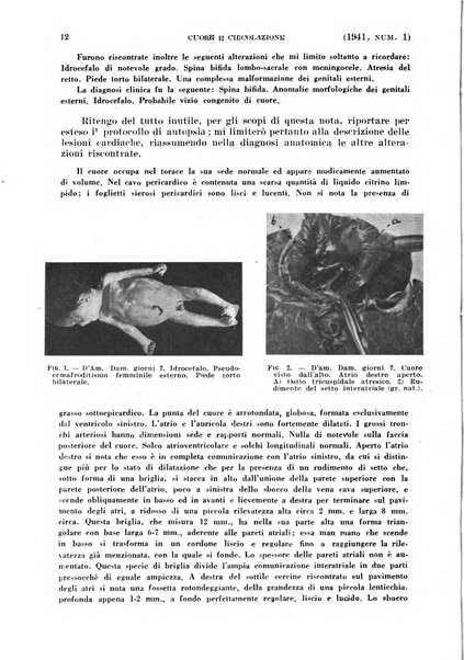 Cuore e circolazione periodico mensile illustrato