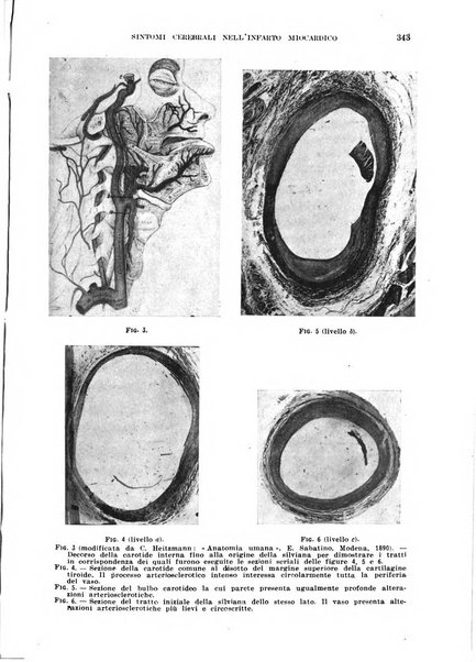 Cuore e circolazione periodico mensile illustrato