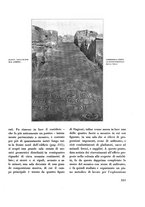 giornale/TO00182642/1923-1924/unico/00000363