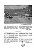 giornale/TO00182642/1929-1930/unico/00000786