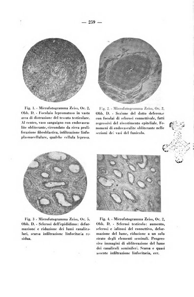 Il dermosifilografo gazzetta di dermosifilografia per il medico pratico