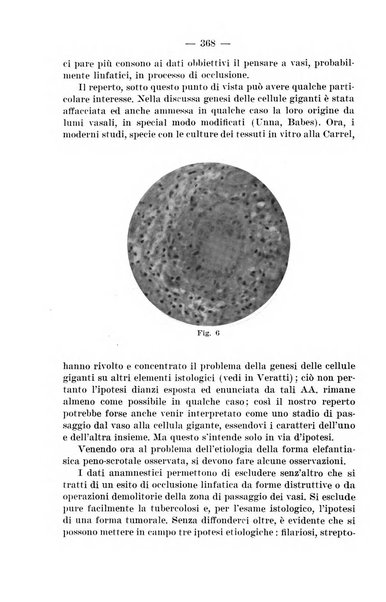 Il dermosifilografo gazzetta di dermosifilografia per il medico pratico