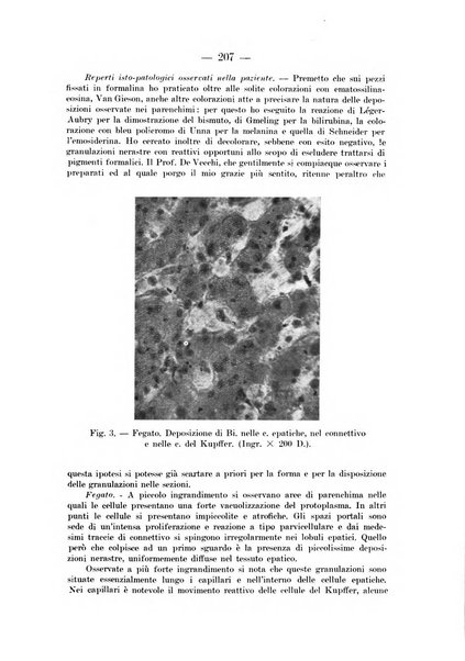 Il dermosifilografo gazzetta di dermosifilografia per il medico pratico