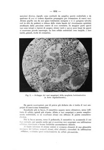 Il dermosifilografo gazzetta di dermosifilografia per il medico pratico