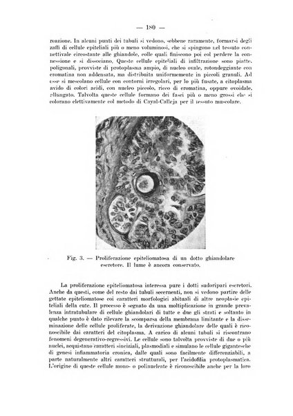 Il dermosifilografo gazzetta di dermosifilografia per il medico pratico