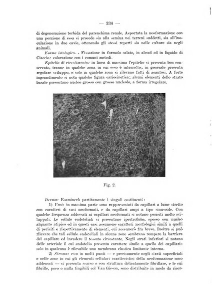 Il dermosifilografo gazzetta di dermosifilografia per il medico pratico