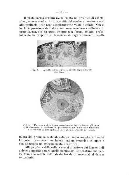 Il dermosifilografo gazzetta di dermosifilografia per il medico pratico