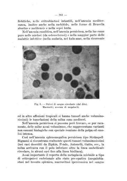 Il dermosifilografo gazzetta di dermosifilografia per il medico pratico