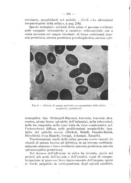 Il dermosifilografo gazzetta di dermosifilografia per il medico pratico