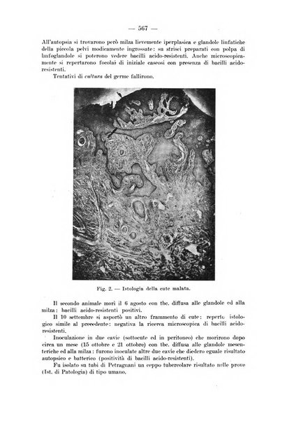 Il dermosifilografo gazzetta di dermosifilografia per il medico pratico