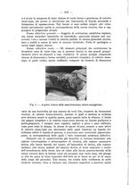 giornale/TO00182686/1943/unico/00000208