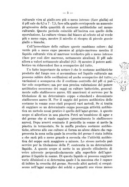 Il dermosifilografo gazzetta di dermosifilografia per il medico pratico