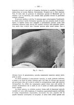 giornale/TO00182686/1946-1947/unico/00000132