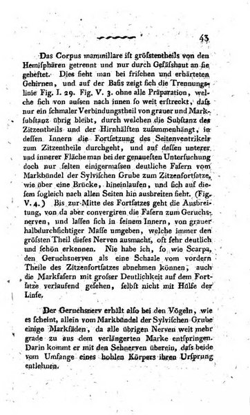 Deutsches Archiv fur die Physiologie