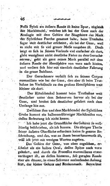 Deutsches Archiv fur die Physiologie