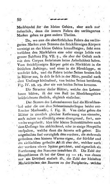 Deutsches Archiv fur die Physiologie