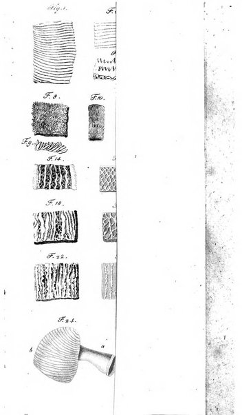 Deutsches Archiv fur die Physiologie