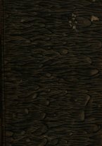 giornale/TO00182736/1817/unico