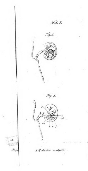 Deutsches Archiv fur die Physiologie