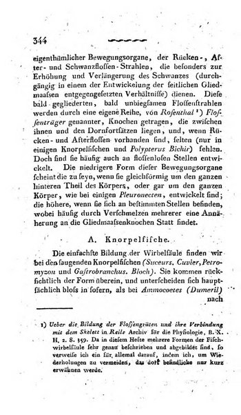 Deutsches Archiv fur die Physiologie