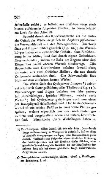 Deutsches Archiv fur die Physiologie