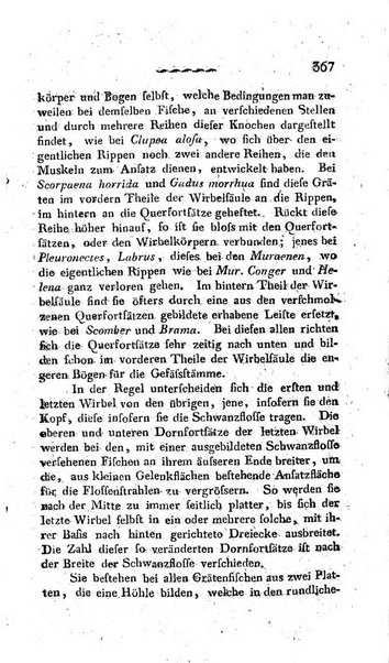 Deutsches Archiv fur die Physiologie